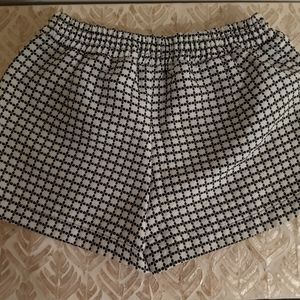 Francesca's Black and White Shorts